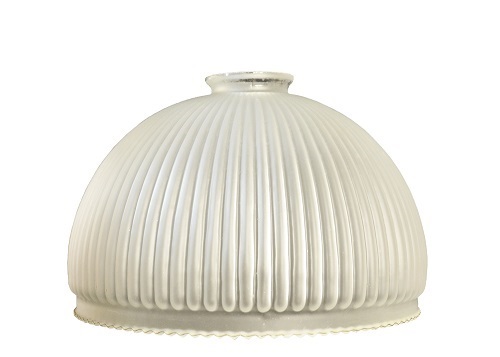 TULIPA CANELA         20 cm. VID.ESM.   27216